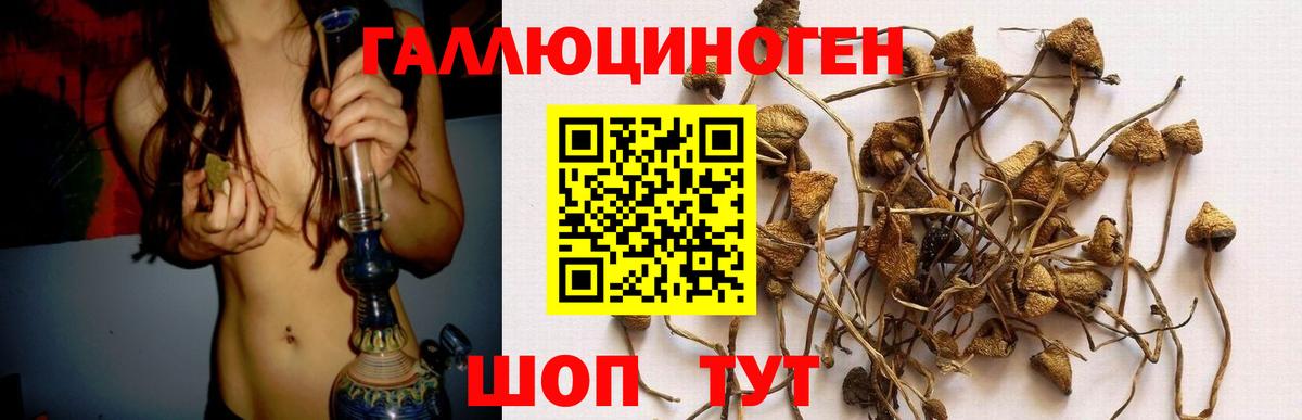Галлюциногенные грибы MAGIC MUSHROOMS Ялуторовск