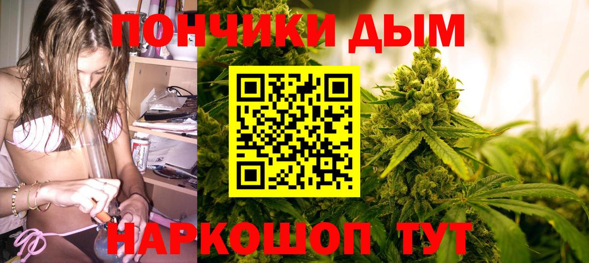 Бошки Шишки план Ялуторовск